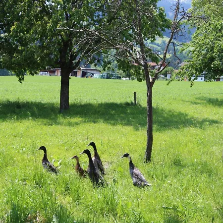 Apartment Gasteighof-1 By Interhome *